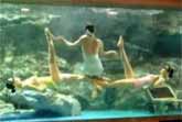 Aqua Dancing