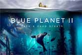 Blue Planet II Trailer 2 - BBC Earth