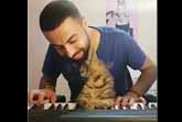 Cat & Piano
