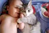 Cat Cuddles With A Baby