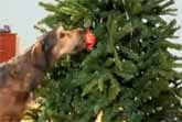 Dogs Christmas Tree
