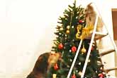 Dogs Decorate Xmas Tree
