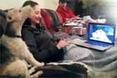 Dogs Communicate With Skype