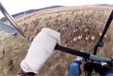 Flying Over A Huge Herd of Elk With A Powered Hang Glider