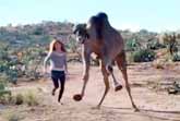 Girl Races Camel