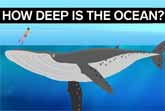 How Deep Does The Ocean Go?