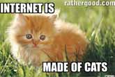 Internet Is Made Of Cats