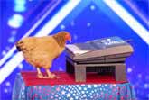 Jokgu the Chicken Plays Patriotic Tune on Keyboard - America's Got Talent 2017