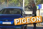 Pigeon - Movie Scene - Remi Gaillard