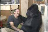 Robin Williams & Koko