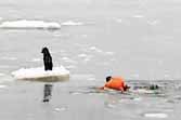 Russian Fishermen Rescue Dog Stranded On Floating Ice