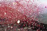 Sony Launches 8 Million Flower Petals From A Volcano To Promote Its 4k TVs