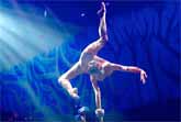 The Best Of Joya -  Cirque Du Soleil - 'Naturalium'