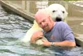 Polar Bear & Friend