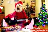 We Wish You A Merry Christmas � Dog Playing Guitar