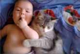 When Cats Protect Human Babies